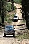 12 Zebra follows Iceman as they limp along Army Track